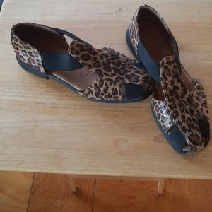 Aerosoles zebra color shoe